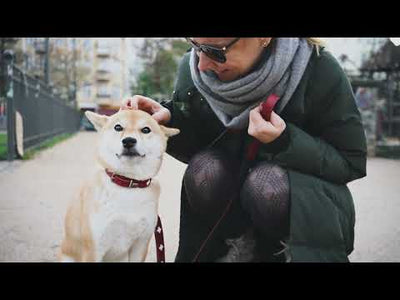 SWISS collar - red