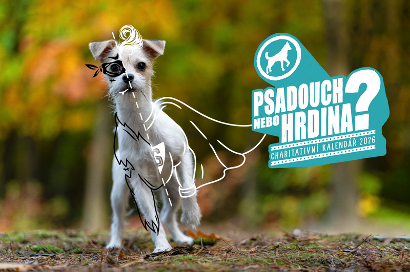 DOGPOINT Charity Calendar 2026 - Desk Calendar