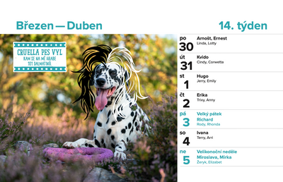 DOGPOINT Charity Calendar 2026 - Desk Calendar