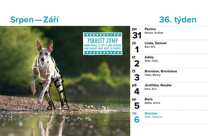 DOGPOINT Charity Calendar 2026 - Desk Calendar
