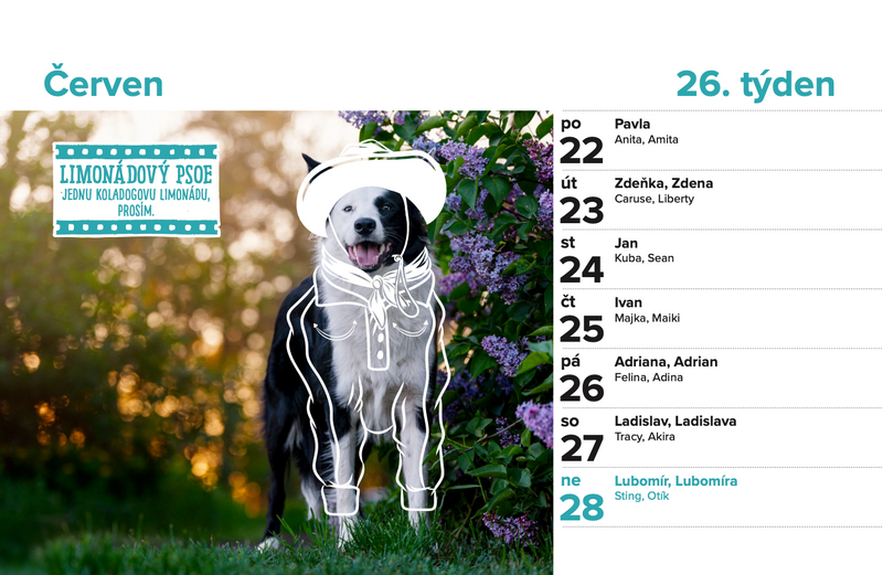 DOGPOINT Charity Calendar 2026 - Desk Calendar
