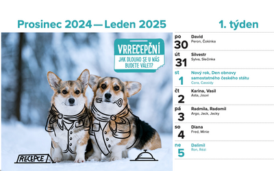 DOGPOINT Charitativní kalendář 2025 - stolní