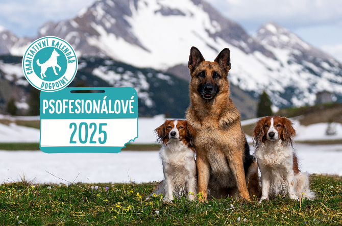 DOGPOINT Charitativní kalendář 2025 - stolní