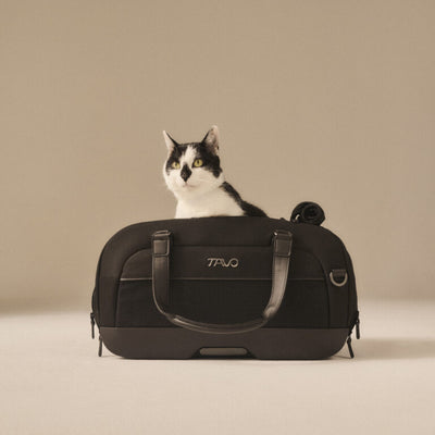 TAVO travel bag DUPREE II - merle