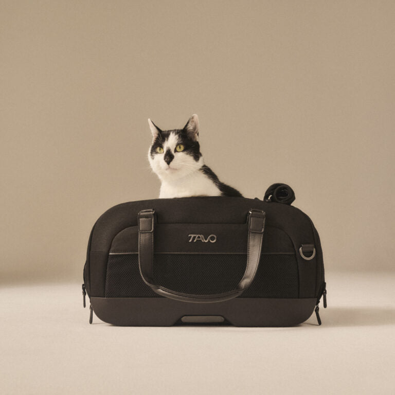 TAVO travel bag DUPREE II - merle