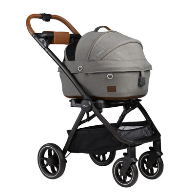 TAVO crate MAEVE S - merle
