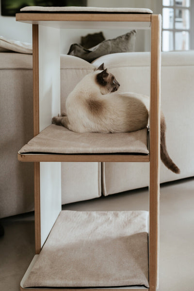 TUMBA scratching tower 3