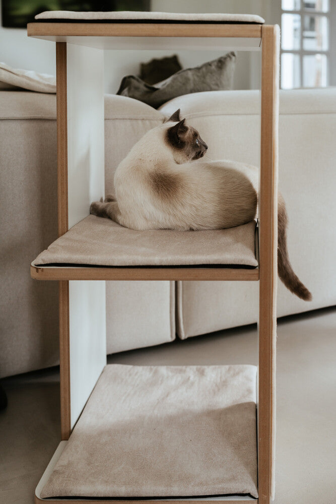 TUMBA scratching tower 3
